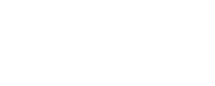 Metro State University Institute for Professional Development