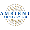 Ambient Consulting