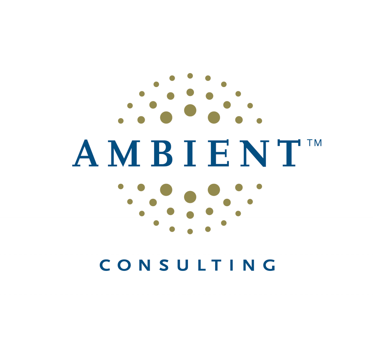 Ambient Consulting